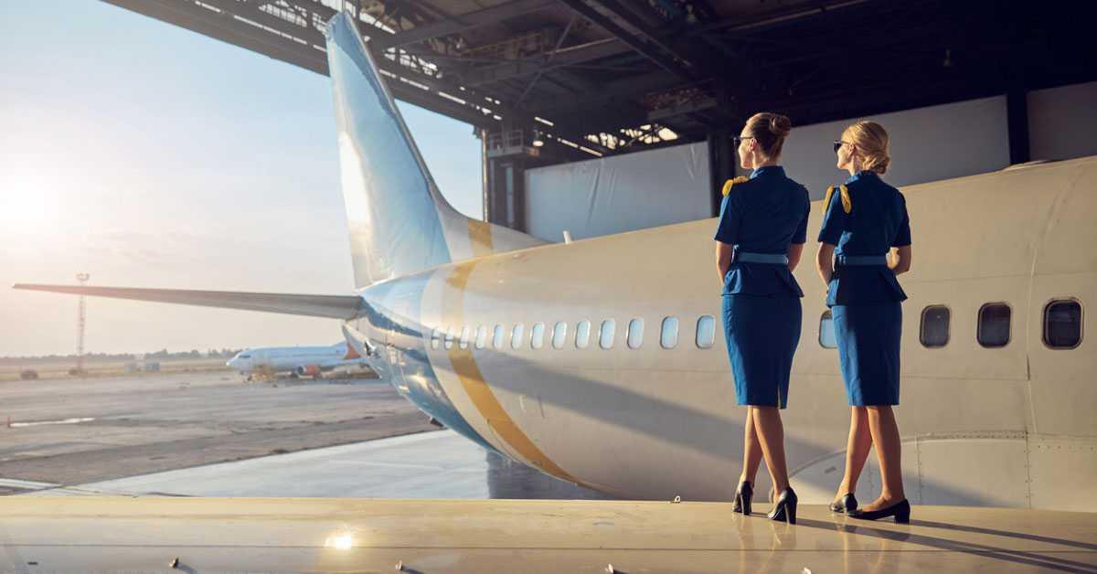 What is Air Hostess ? Know Skills, Roles, Salary, Career Path, Courses, Jobs, Eligibility | Naukri Learning